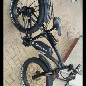 Sheng Milo Ebike - Image 4