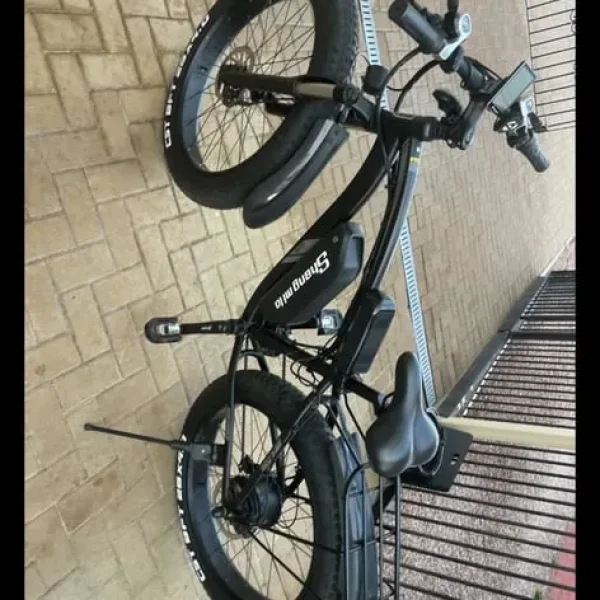 Sheng Milo Ebike