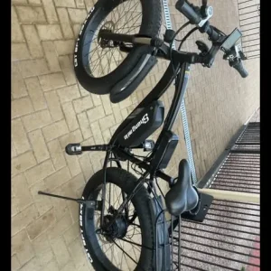 Sheng Milo Ebike