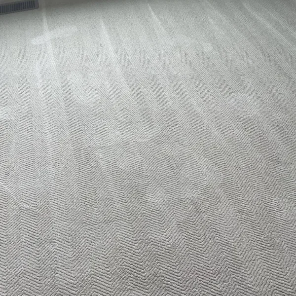 Affordable Carpet roll