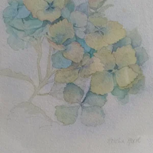 Framed Print, 42 cm x 42 cm, Ref:18816 £7.00 - Image 7