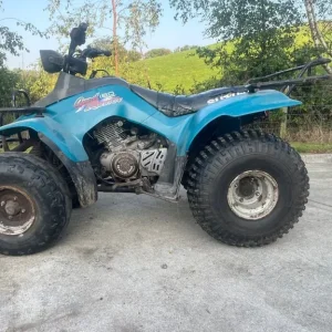 Suzuki 160 quad