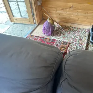 Minty Sofa - Image 2