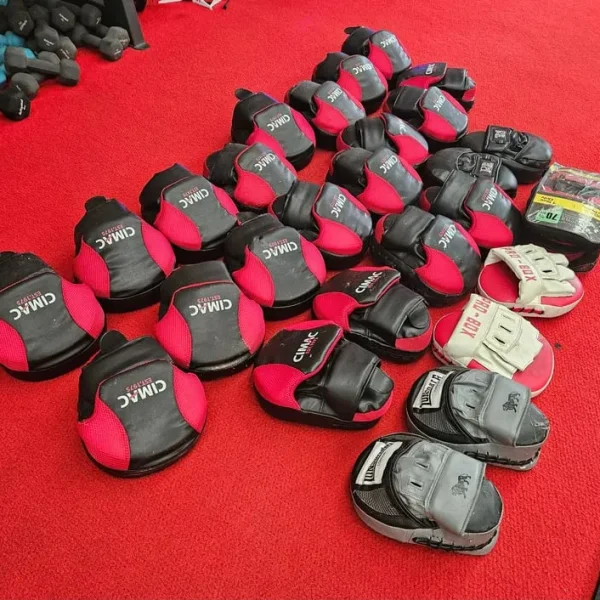 Boxing pads x 14 pairs