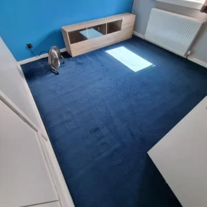 Carpet cleaner - Image 4