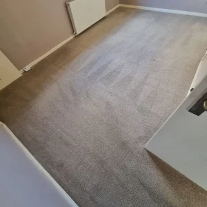 Carpet cleaner - Image 5