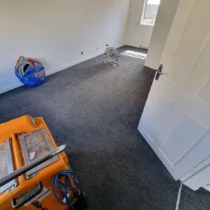 Carpet cleaner - Image 8