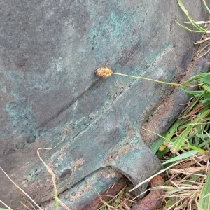 A very large antique copper cauldron. - Image 5