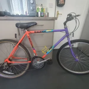 Raleigh Mustang mountain bike
