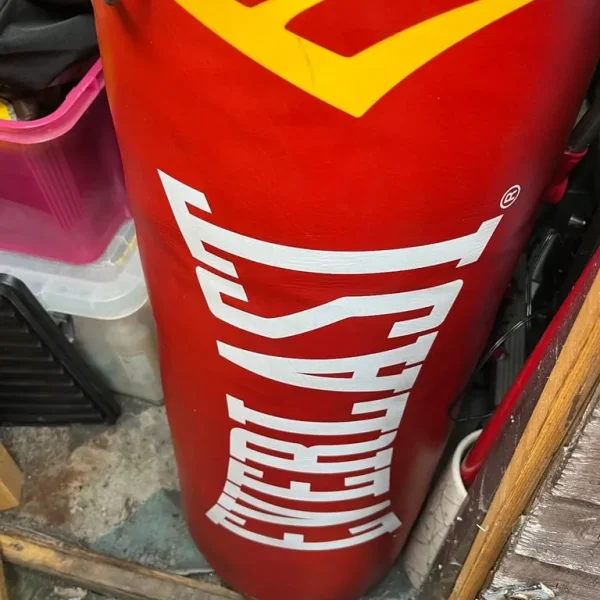 Large punch bag