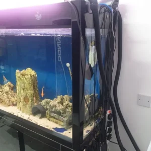 Large Fish Tank Aquarium Cleair 5ft Extra Tall 600 Litres Sump Marine Tropical - Image 3