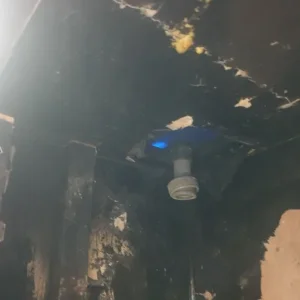 Large Fish Tank Aquarium Cleair 5ft Extra Tall 600 Litres Sump Marine Tropical - Image 4