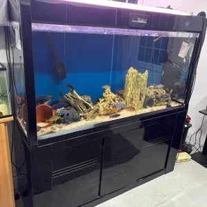 Large Fish Tank Aquarium Cleair 5ft Extra Tall 600 Litres Sump Marine Tropical
