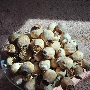 1kg Dried poppy heads. Papaver somniferum