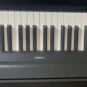 Yamaha P145 - Image 2
