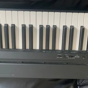 Yamaha P145 - Image 3
