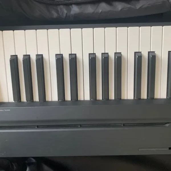 Yamaha P145