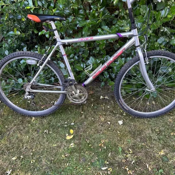 Claud Butler Ravana men’s adult bike