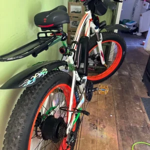 Electric bike - Image 2