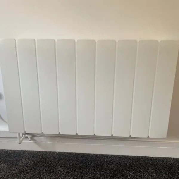 Dimplex smart radiator