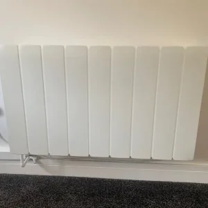 Dimplex smart radiator