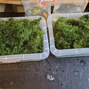 Aquatic plants and dry goods - Image 2