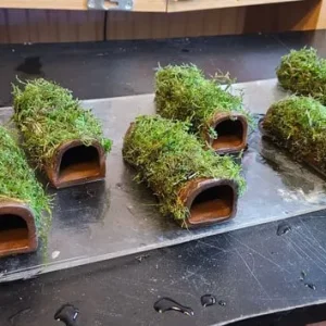 Aquatic plants and dry goods - Image 6