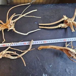 Aquatic plants and dry goods - Image 7