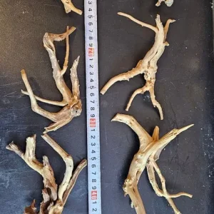 Aquatic plants and dry goods - Image 8