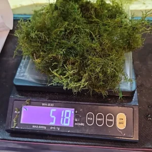 Aquatic plants and dry goods