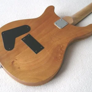 A custom built electric PRS style guitar please read and check out the pics. - Image 3