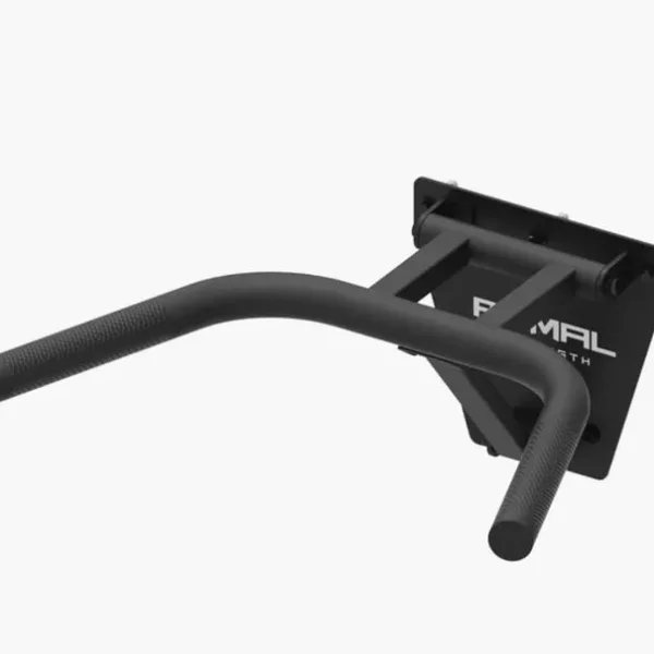 Wall mounted dip bar