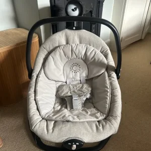 Serina 2 in 1 Rocker Swing by Joie - Image 4