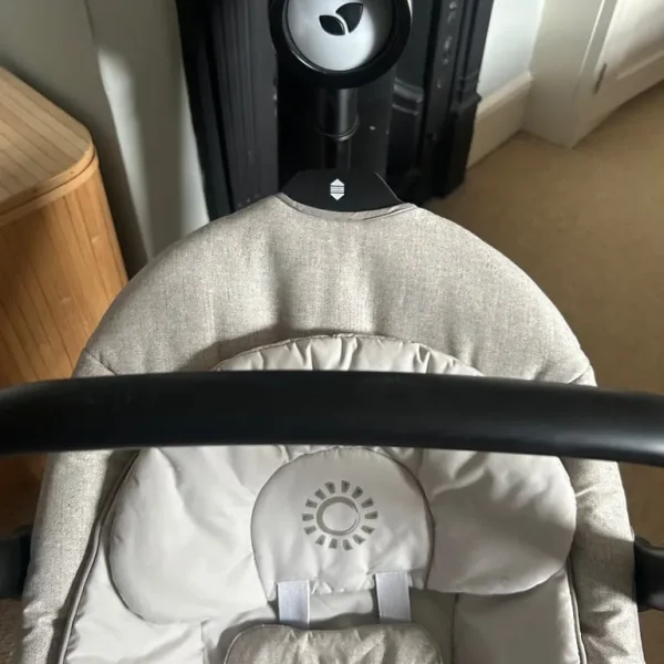 Serina 2 in 1 Rocker Swing by Joie