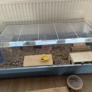 Excellent condition hamster cage large - Image 2