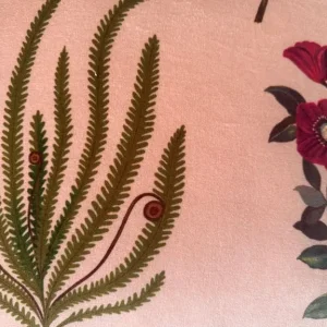 3 x Cushions in Botanical Flora in Wellington Velvet Fabric by Liberty - Image 4