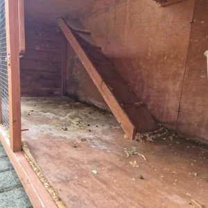 5ft Rabbit Hutch - Image 3