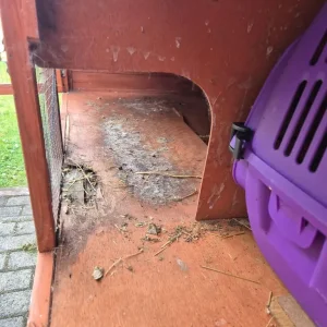 5ft Rabbit Hutch - Image 4