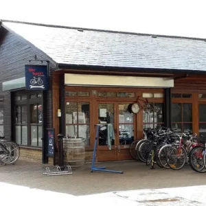 Hybrid bicycle Liv Avail ( Giant ) , medium frame, Shimano Claris , serviced - ready to go - Image 6