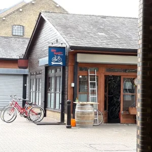 Hybrid bicycle Liv Avail ( Giant ) , medium frame, Shimano Claris , serviced - ready to go - Image 8