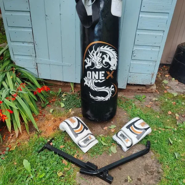 Punch /Kick Bag