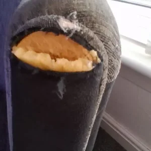 Free sofa and two seater cuddle chair - Image 6