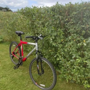 Mountain bikes - Image 3