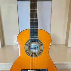 Tanglewood 1/2 Classical nylon guitar Professionally Set Up – w/ Gig Bag - Image 8