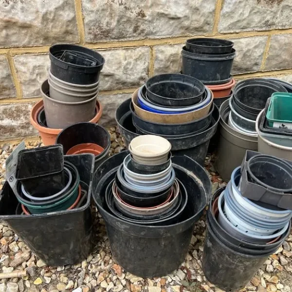 Plastic plant pots various sizes