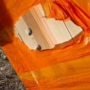 Solid NEW Pine door and caseing - Image 3