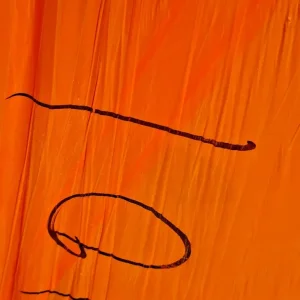 Solid NEW Pine door and caseing - Image 7