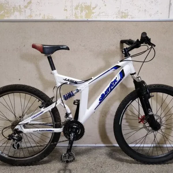Silverfox Lance MTB 1
