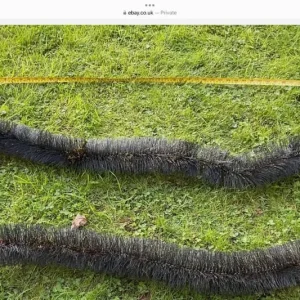 Get ready for autumn gutter brushes 35 metres in total £25 can deliver hardly used - Image 2