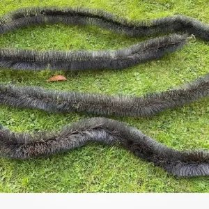 Get ready for autumn gutter brushes 35 metres in total £25 can deliver hardly used
